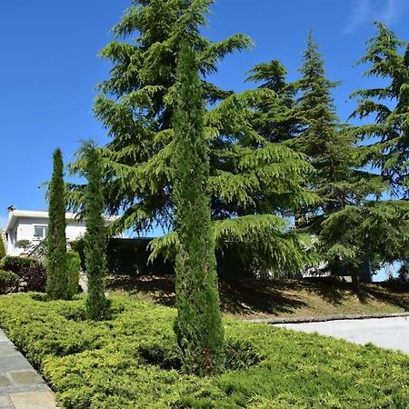 Villa Casa Chrissy Plagiárion Esterno foto