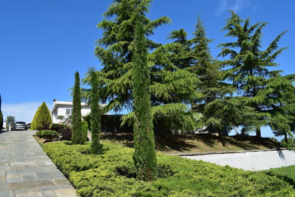 Villa Casa Chrissy Plagiárion Esterno foto