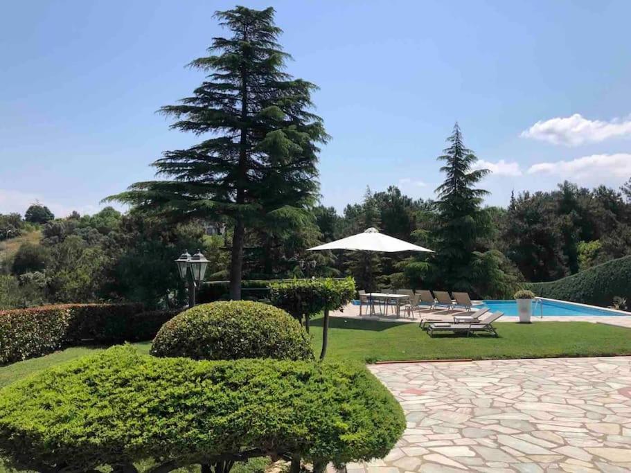 Villa Casa Chrissy Plagiárion Esterno foto